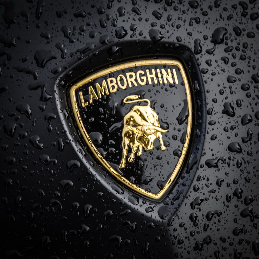 Lamborghini badge covered in rain drops