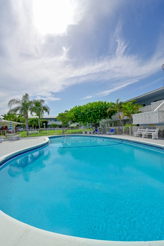 Condo pool surrounded by palm trees